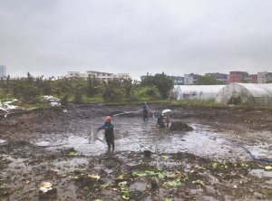 阜平河道鱼塘清淤